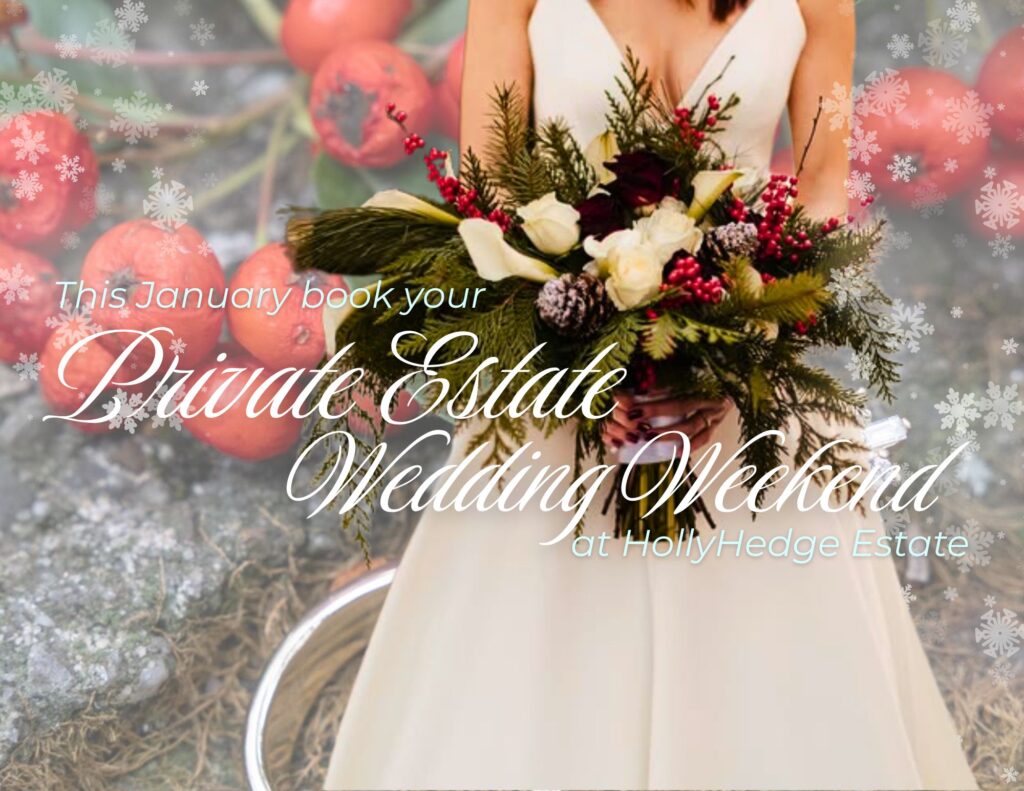 Winter Wedding Weekend Ad